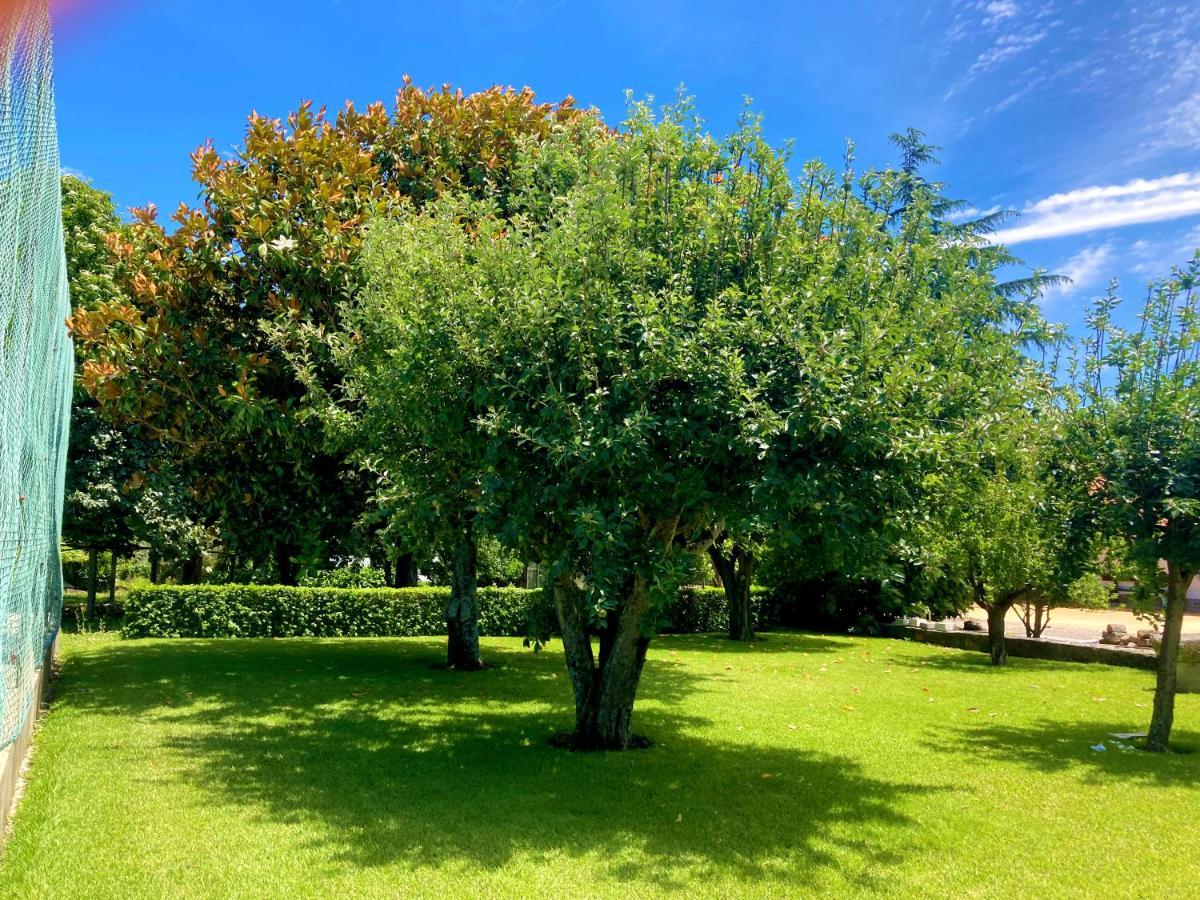 Quinta Dom Sapo - Agroturismo Viana do Castelo Luaran gambar