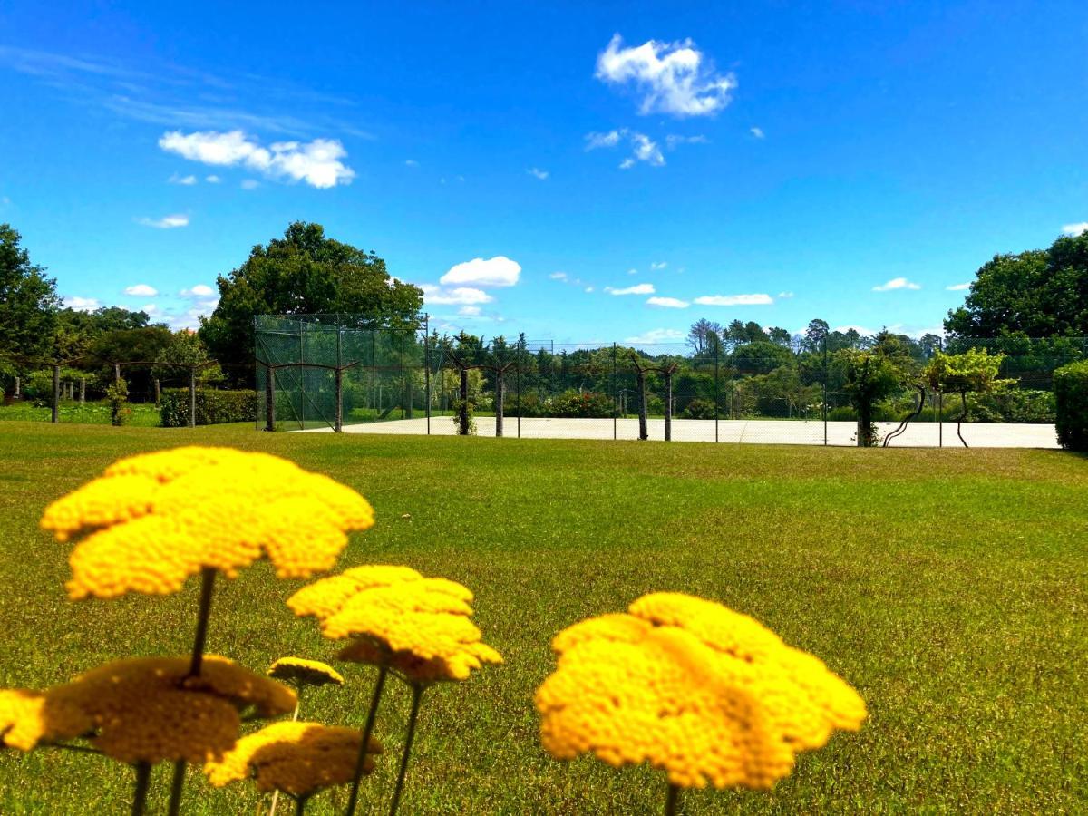 Quinta Dom Sapo - Agroturismo Viana do Castelo Luaran gambar